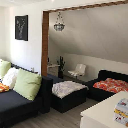 Ferienwohnung Im Einfamilienhaus, Automobil Und Robert Schumann Stadt Zwickau Extérieur photo