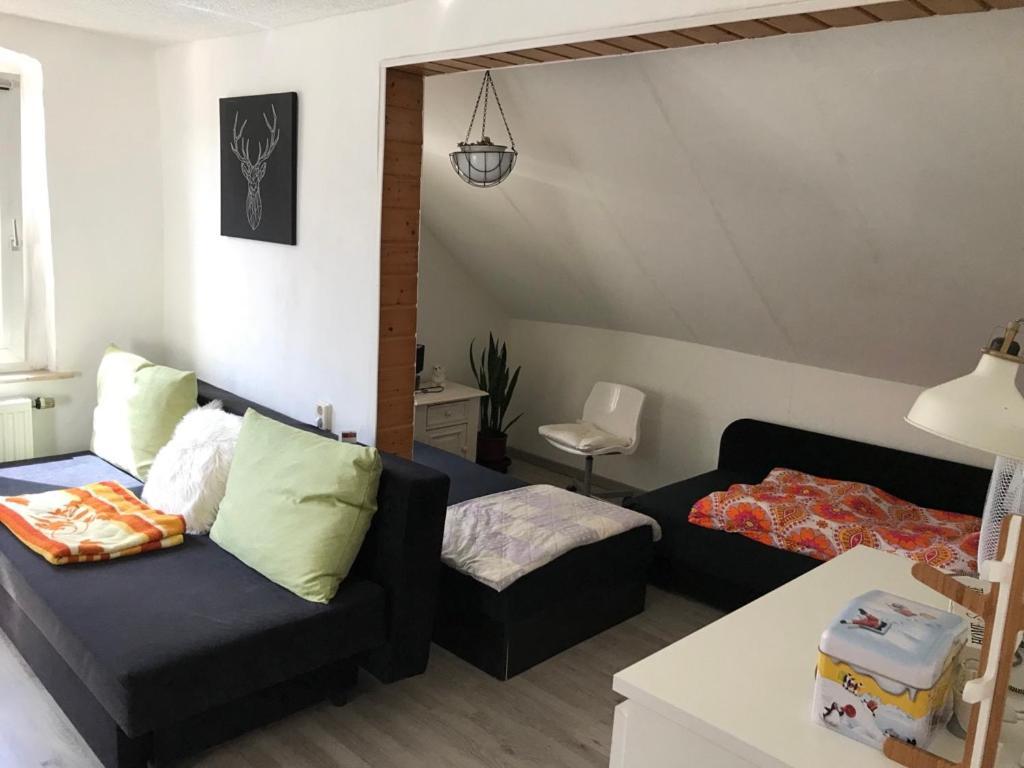 Im Einfamilienhaus, Automobil Und Robert Schumann Stadt Zwickau